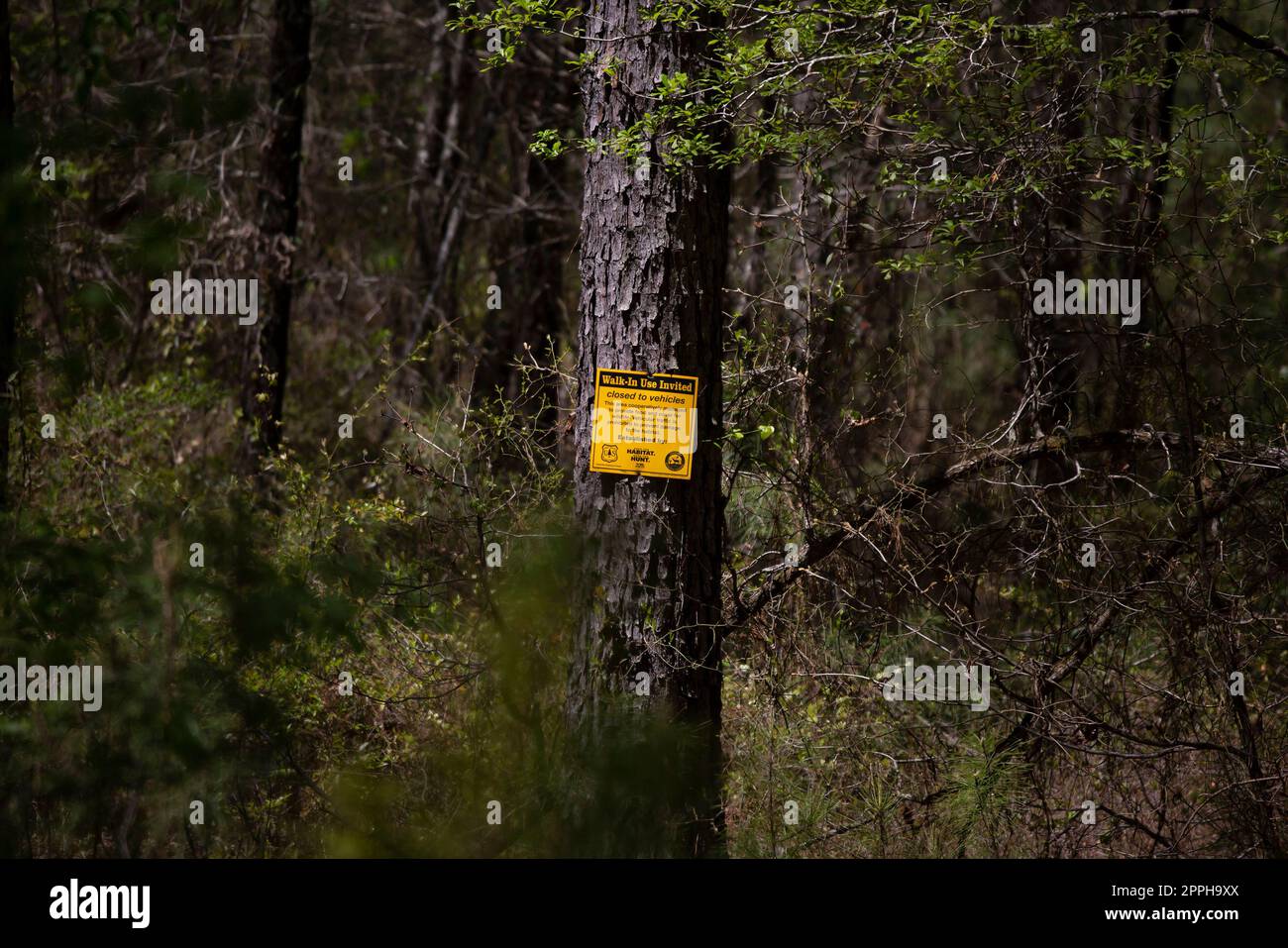 Wegweiser zur Markierung einer Grenze für den Fahrzeugverkehr am Corney Lake Recreation Area Stockfoto