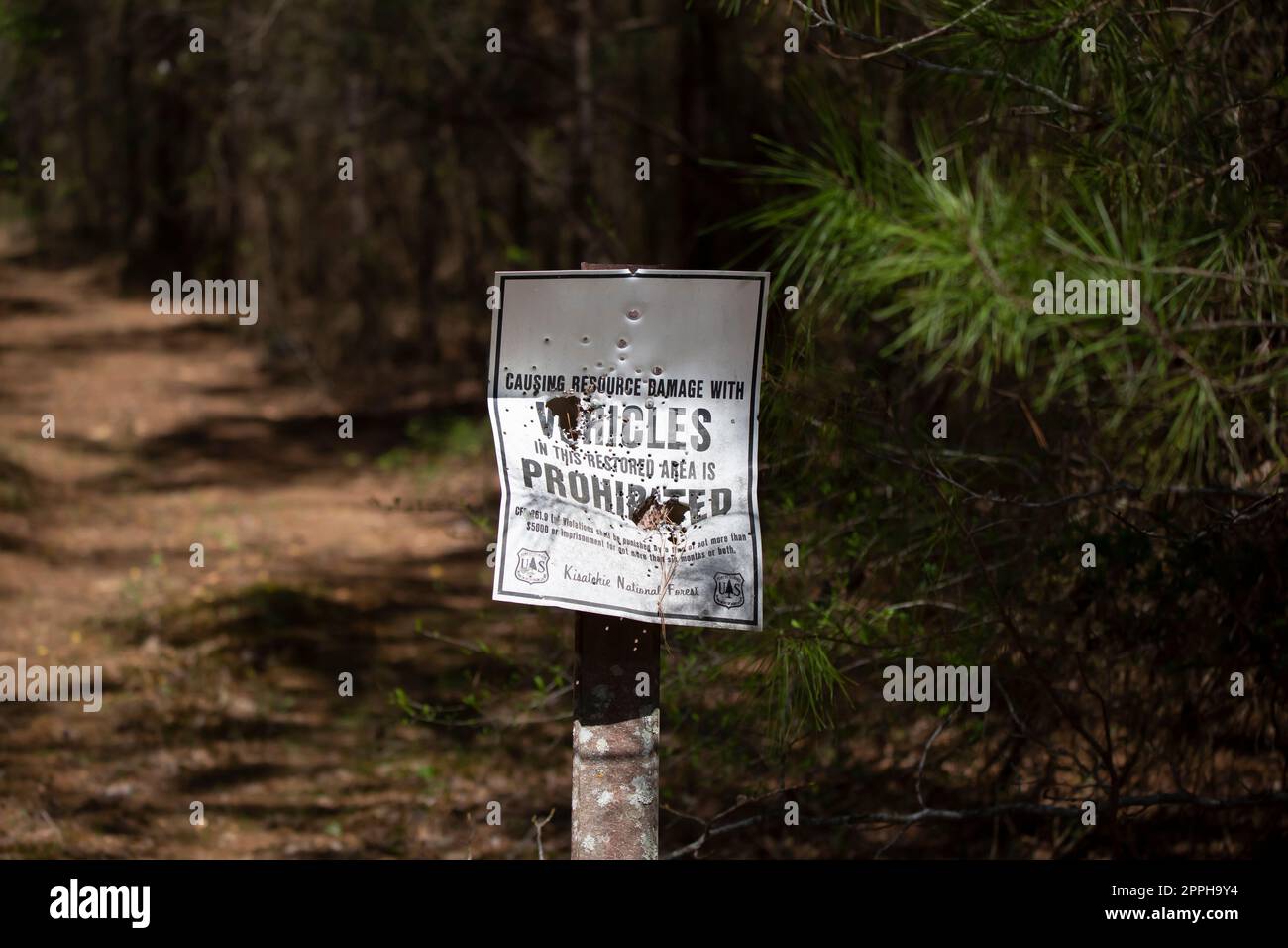 Unterschreiben Sie im Kisatchie National Forest Stockfoto