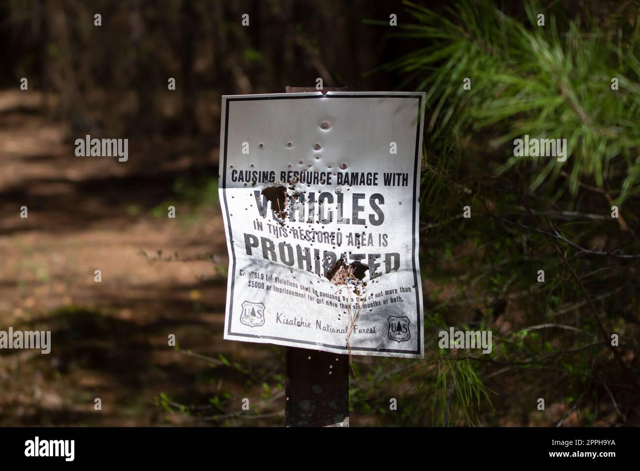 Unterschreiben Sie im Kisatchie National Forest Stockfoto