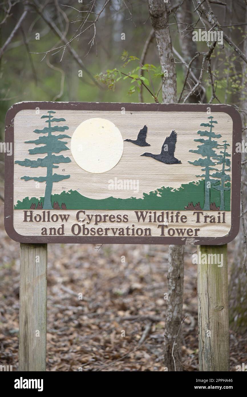 Hollow Cypress Wildlife Trail und Aussichtsturm Schild Stockfoto