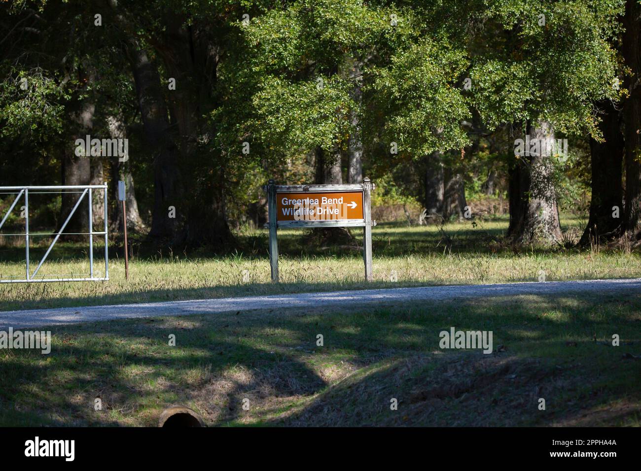 Greenlea Bend Wildlife Drive Schild Stockfoto