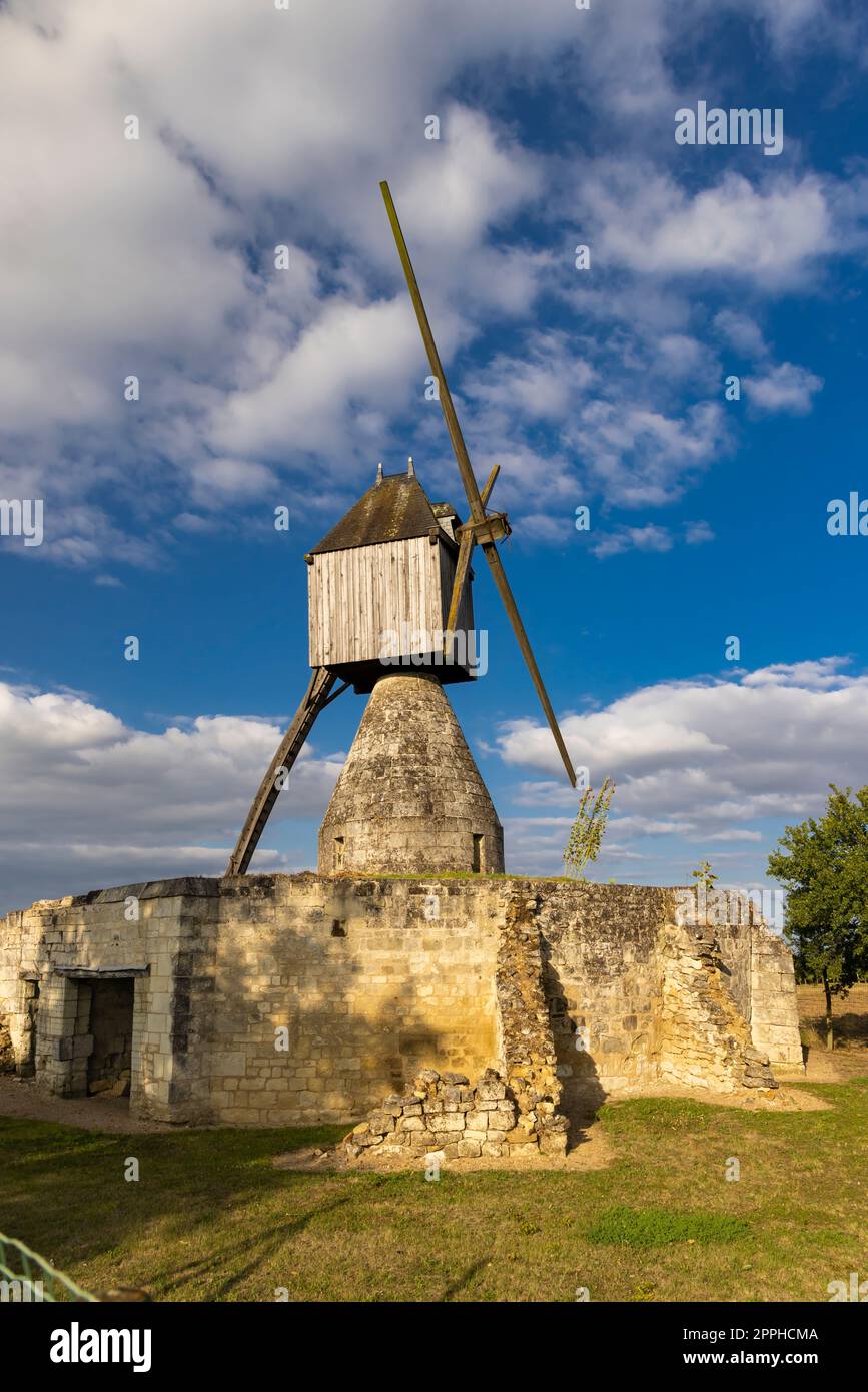 Windmühle von La Tranchee und Weinberg in der Nähe von Montsoreau, Pays de la Loire, Frankreich Stockfoto