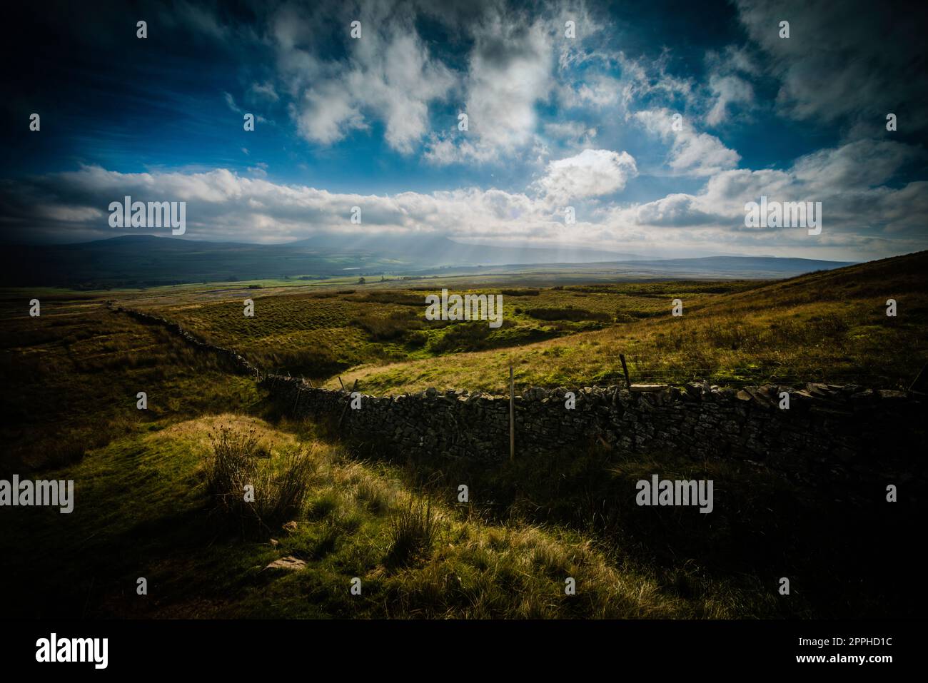 Wechselnde Lichtverhältnisse auf Simon Fell mit Blick auf Penyghent, Yorkshire Dales Nationalpark. Stockfoto