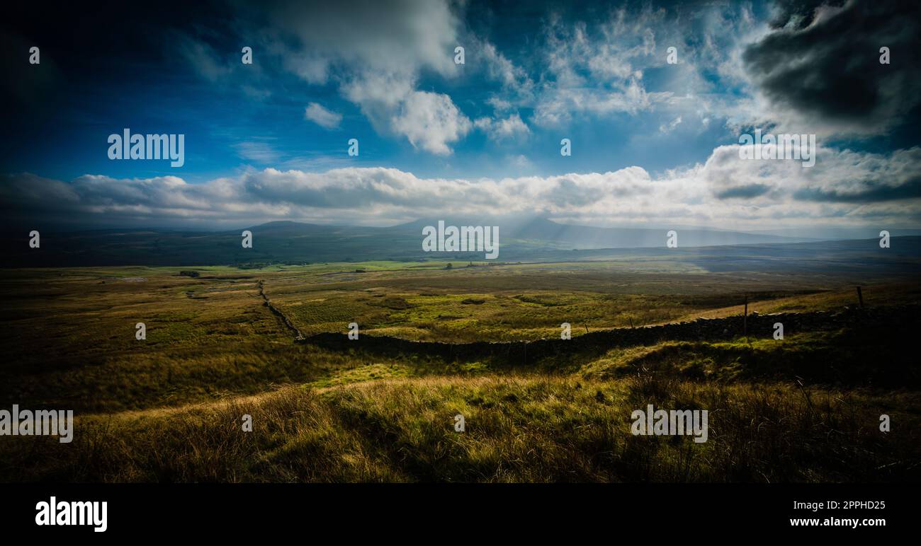 Wechselnde Lichtverhältnisse auf Simon Fell mit Blick auf Penyghent, Yorkshire Dales Nationalpark. Stockfoto