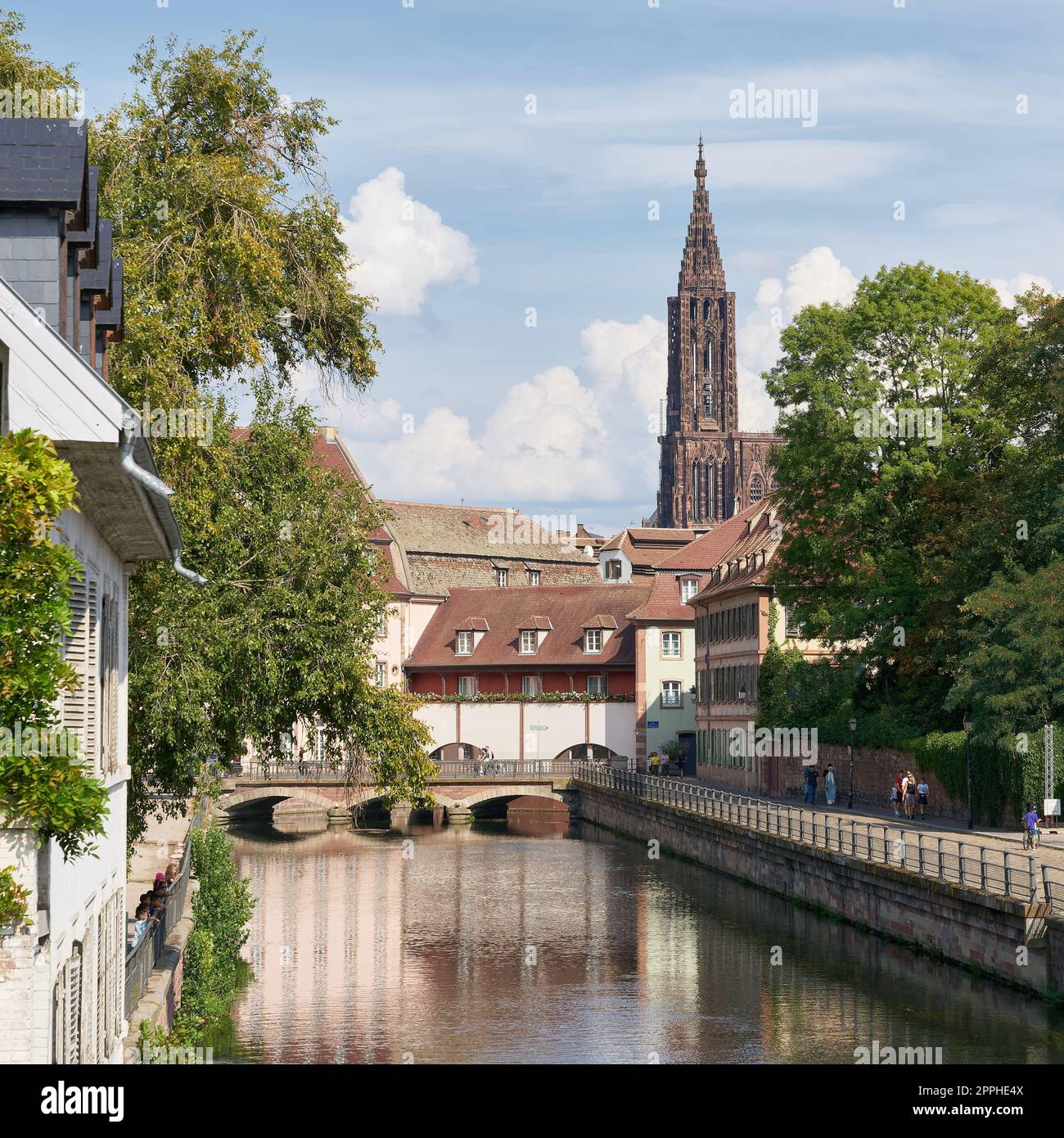 Altstadt von Straßburg in Frankreich am Fluss Ill. Im Hintergrund der Straßburger Dom als Wahrzeichen der Stadt. Stockfoto