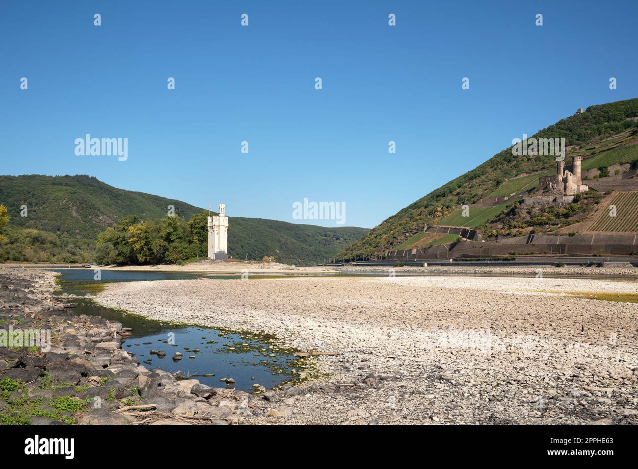 Dürre in Deutschland, Niedrigwasserstand am Rhein in der Nähe von Bingen Stockfoto