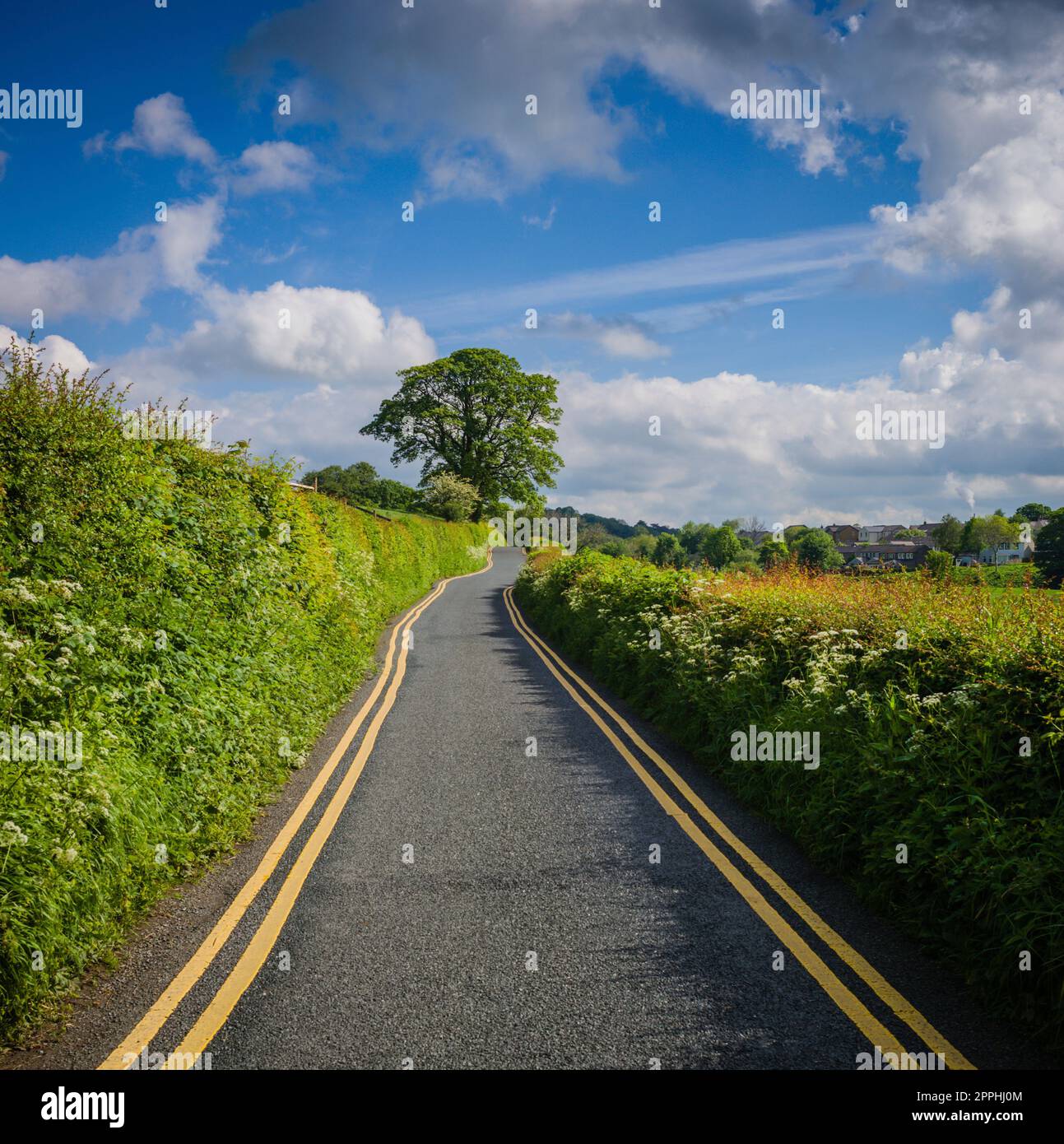 Eine schmale Straße im Ribble Valley in der Nähe der Edisford Bridge, die aufgrund ihrer landschaftlich reizvollen Lage unter unverantwortlichen Parkmöglichkeiten leiden kann. Stockfoto