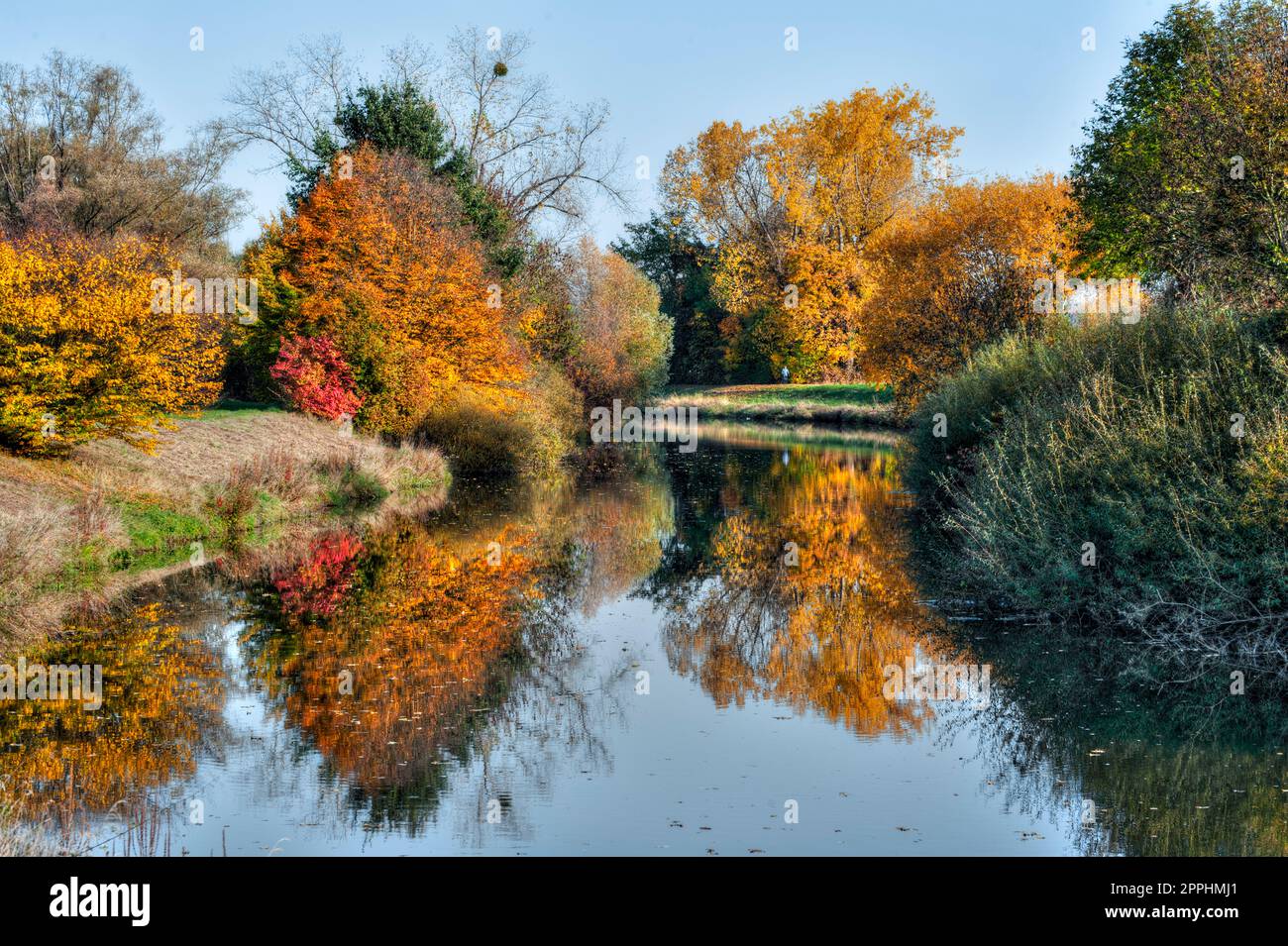 Herbstatmosphäre am Fluss Nidda in Frankfurt am Main mit bunten Laubbbäumen und Sträuchern am Flussufer Stockfoto