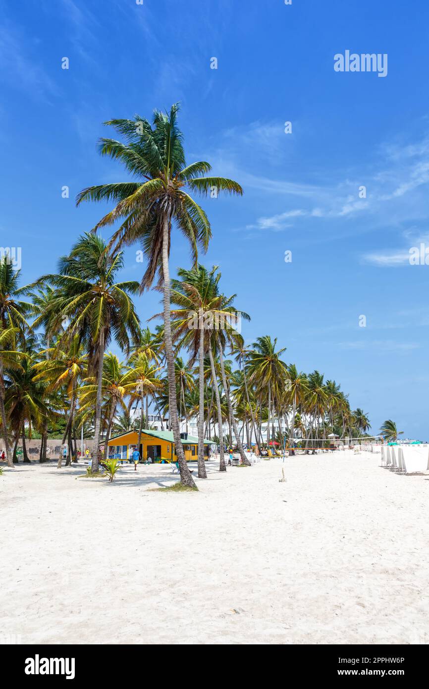 Playa Spratt Bight Strandurlaub mit Palmen im Porträtformat Urlaubssee auf der Insel San Andres in Kolumbien Stockfoto