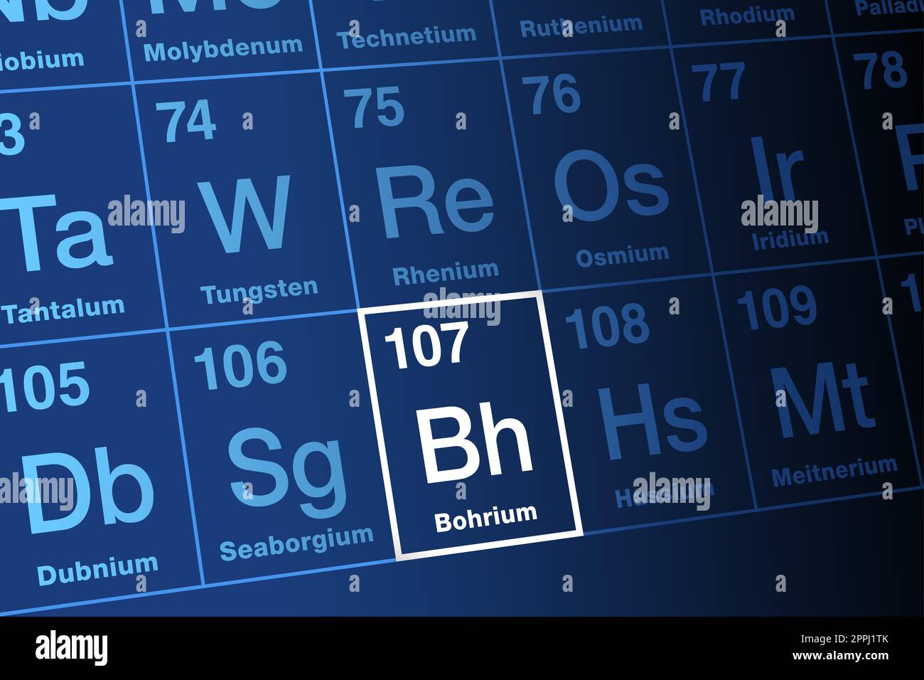 Bohrium, auf dem Periodensystem. Radioaktives, synthetisches Transaktinid-Element, mit Elementsymbol BH und Atomnummer 107. Benannt nach den Niels Bohr. Stockfoto