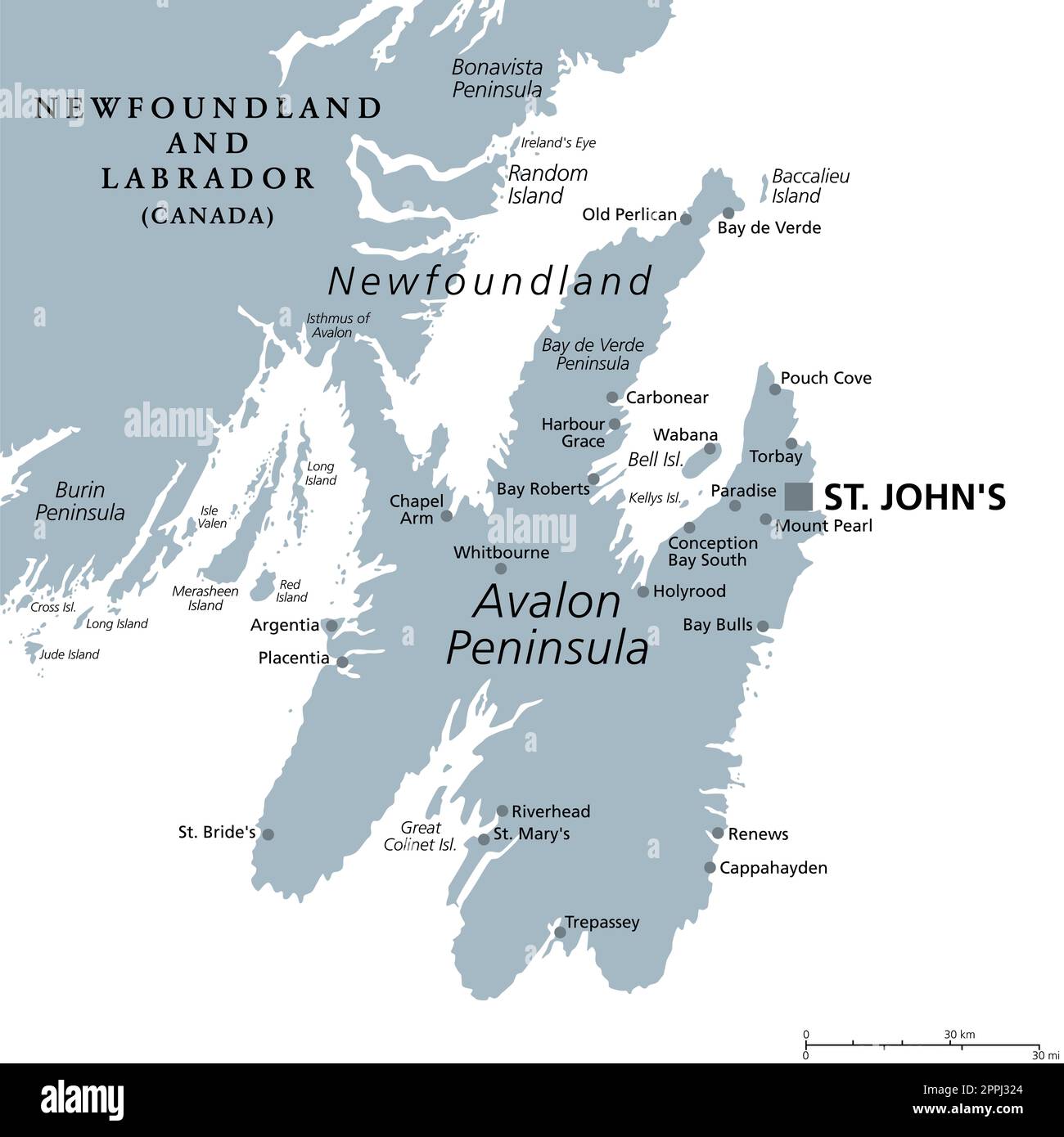 Avalon-Halbinsel, graue politische Karte. Teil der Insel Neufundland, vor der Küste des nordamerikanischen Festlands. Stockfoto