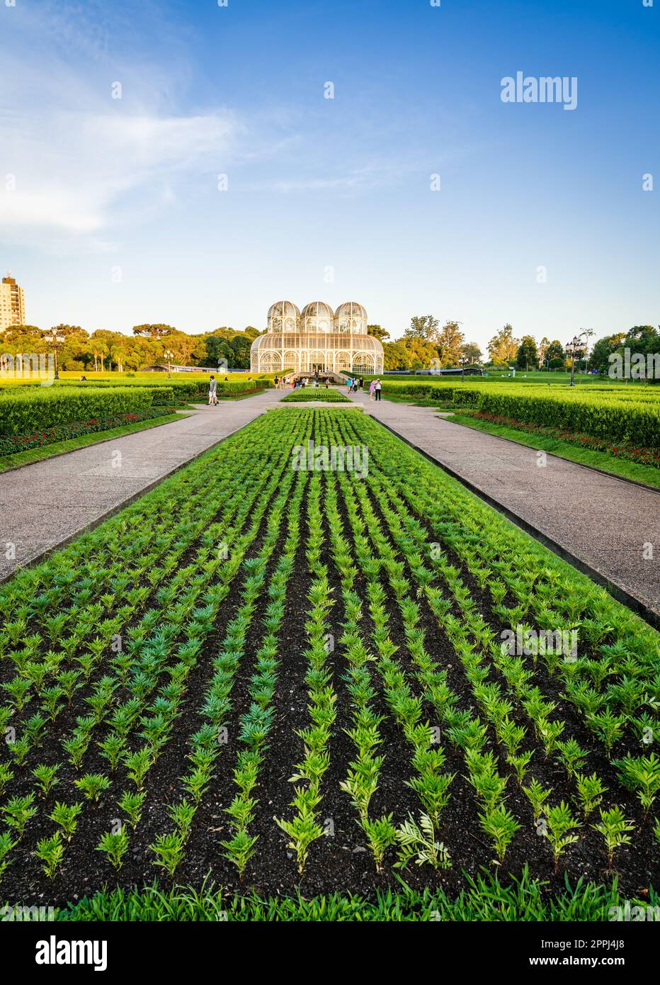 Curitiba Botanischer Garten Stockfoto