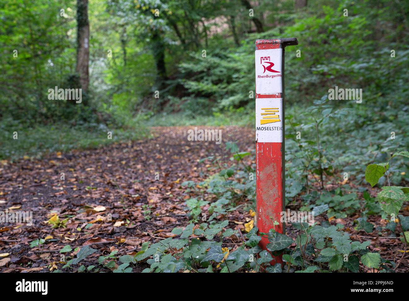 Wegpunkt des Rhein-Schloss-Trails und Mosel-Trails in der Nähe von Winningen, Deutschland Stockfoto