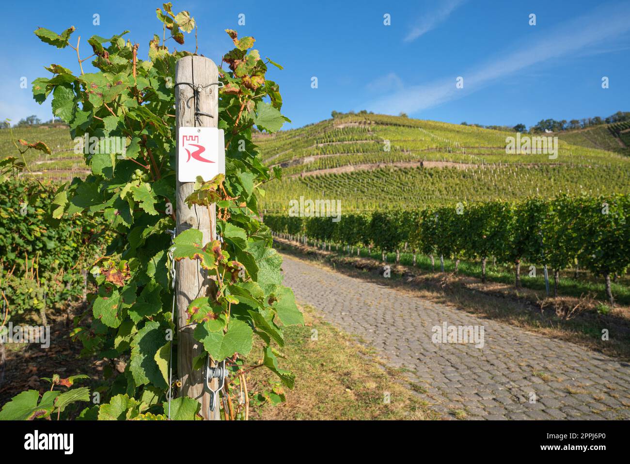 Wegpunkt des Rheinschloss-Weges in der Nähe von Winningen, Deutschland Stockfoto