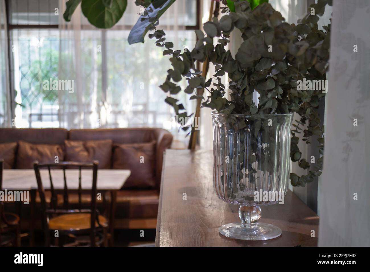 Café-Bar oder Café-Restaurant mit Holzmöbeln Stockfoto