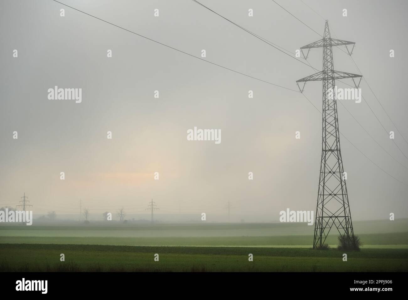 Ein Pol mit dichtem Nebel über den Feldern Stockfoto
