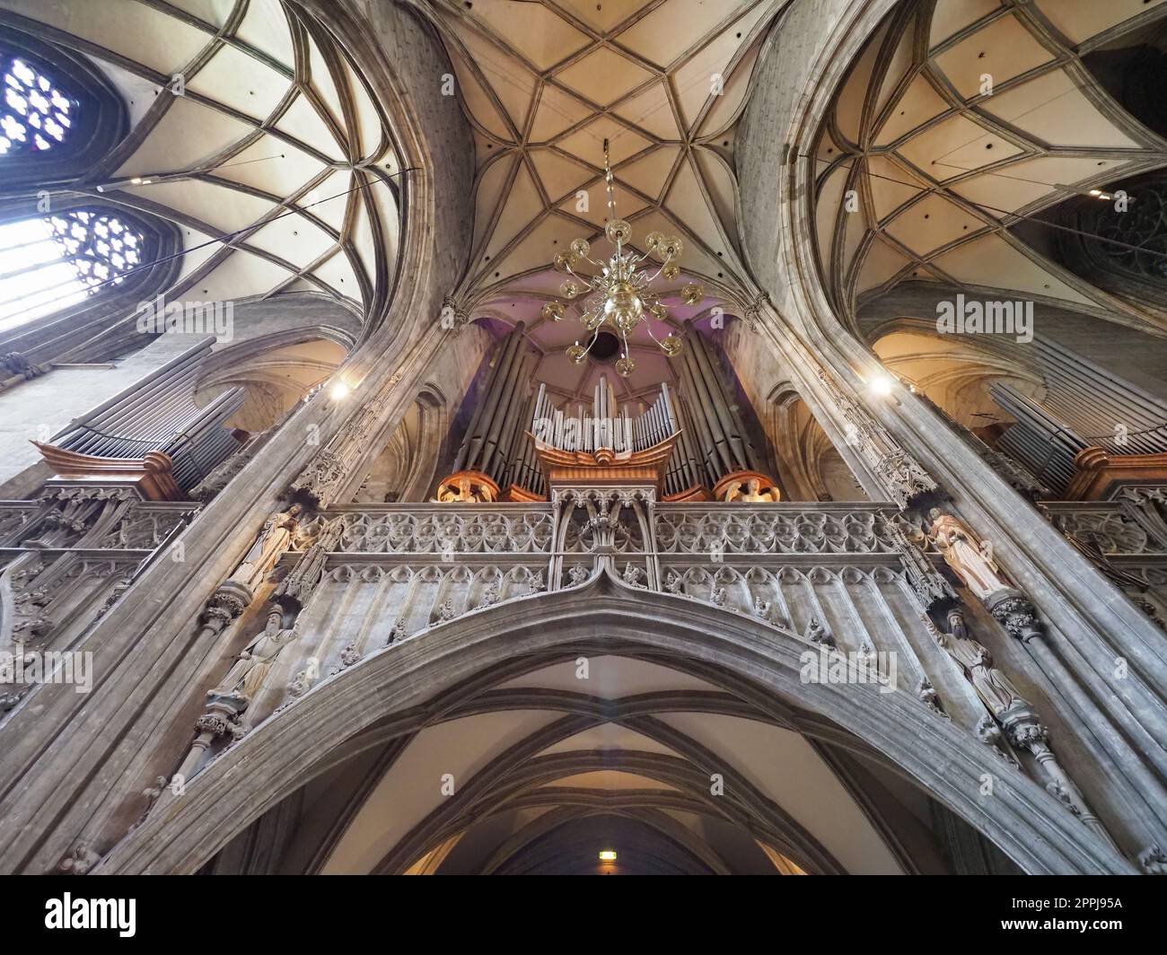 Stephansdom in Wien Stockfoto