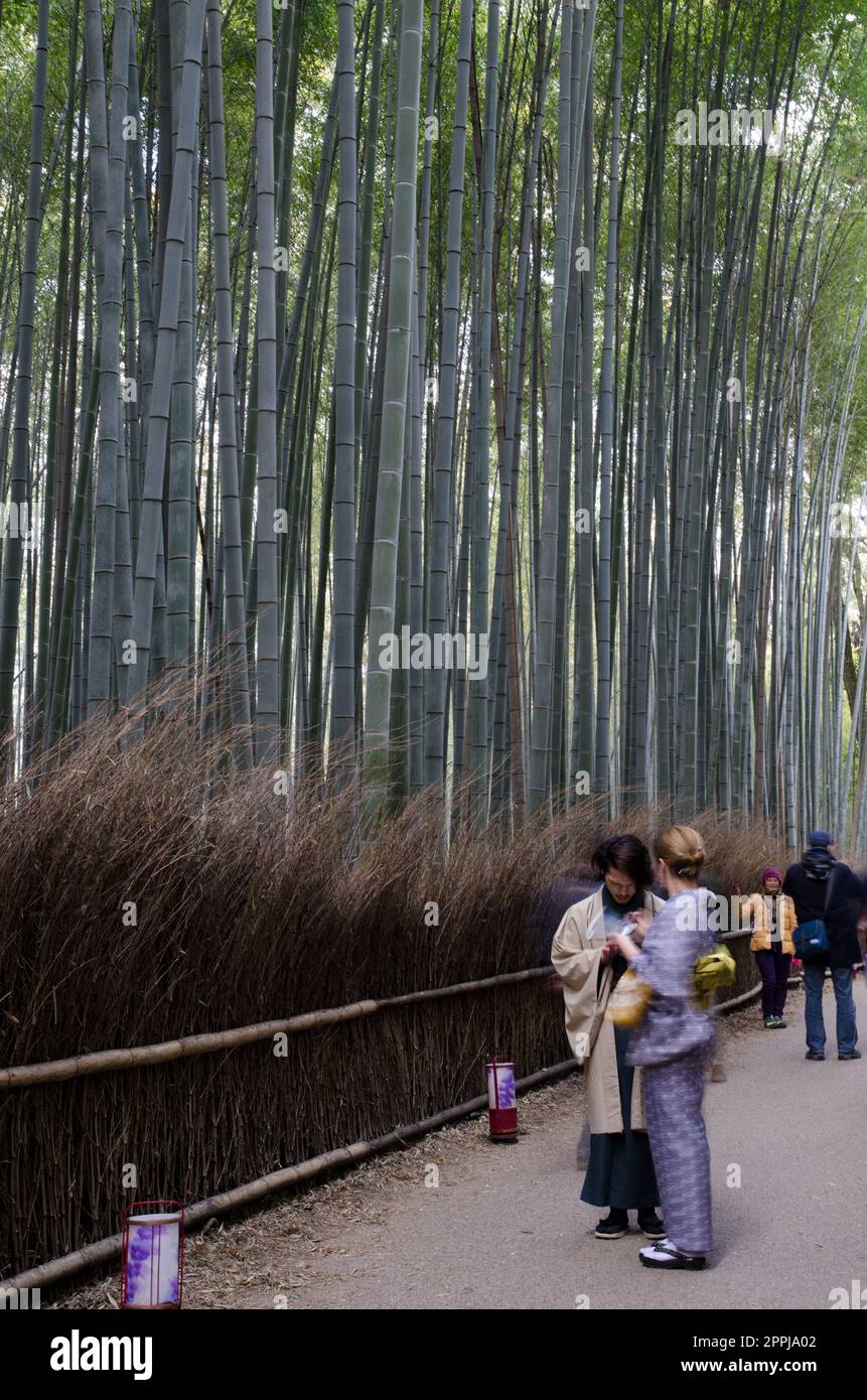 Japanisches Paar in traditionellem Kostüm. Stockfoto