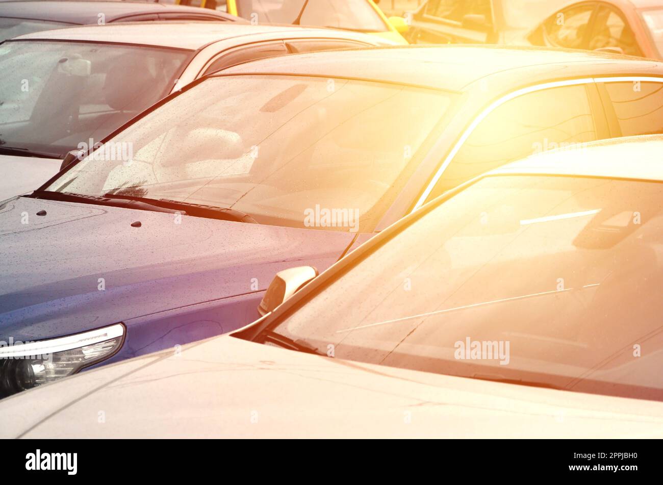 Dächer mehrerer Autos. Viele Autos stehen in der Nähe zur Hauptverkehrszeit Stockfoto