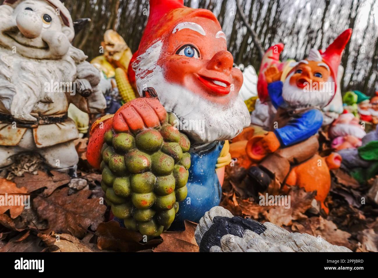 Gartenzwerg im wald -Fotos und -Bildmaterial in hoher Auflösung – Alamy