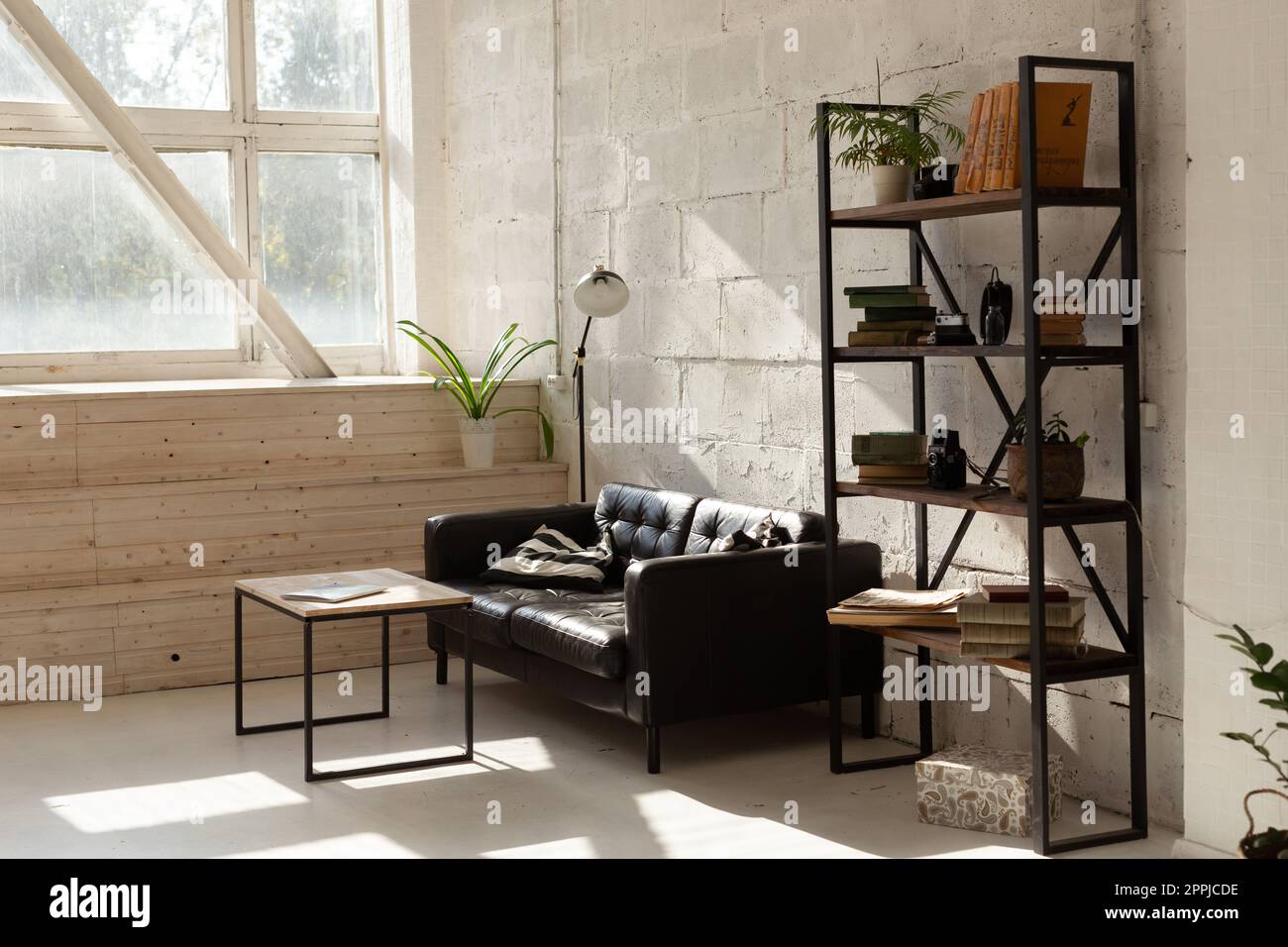 Elegantes schwarzes Sofa in moderner Wohnzimmereinrichtung Stockfoto