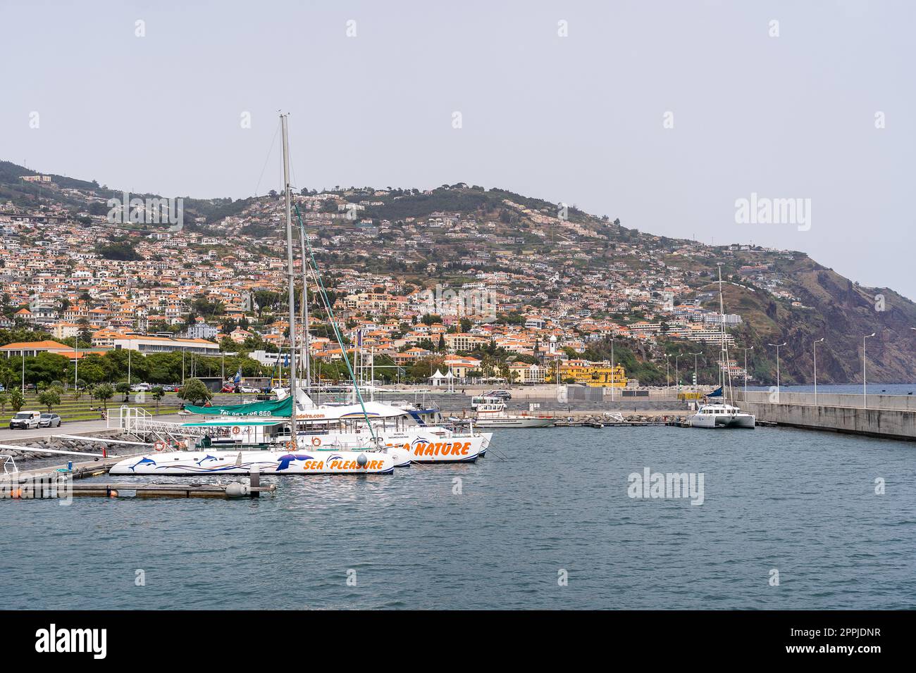 Der Yachthafen in funchal madeira Stockfoto