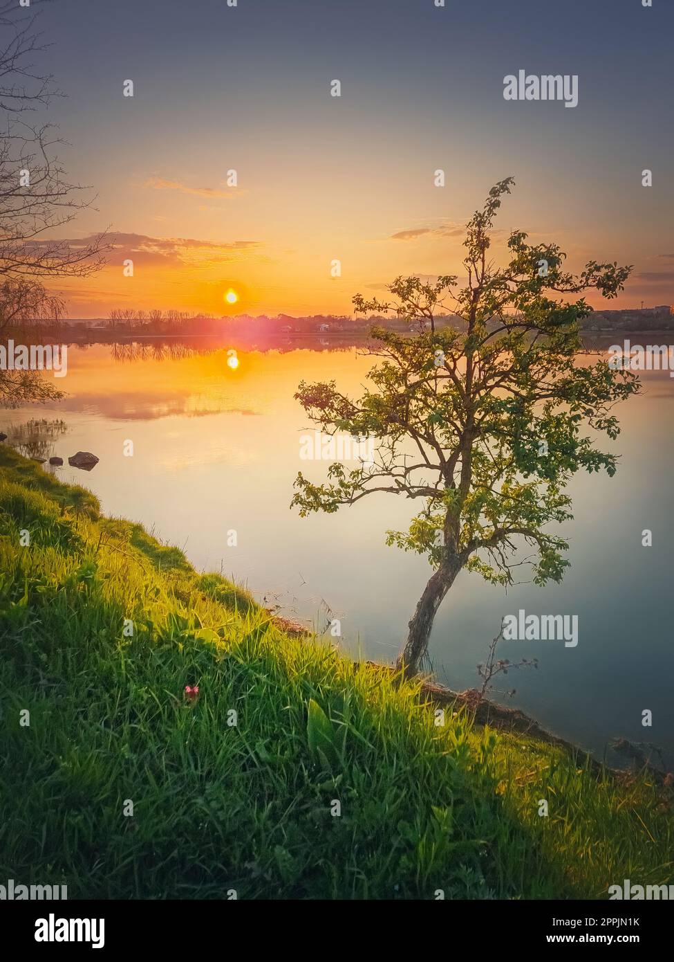 Sonnenuntergang am See mit einem einzelnen Baum auf dem Hügel. Lebendiger Sonnenuntergang im ruhigen Wasser des Teichs Stockfoto
