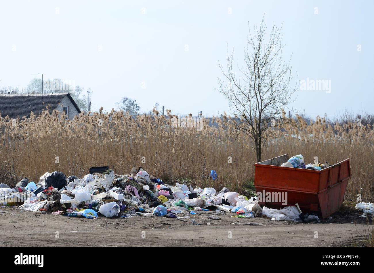 Die Mülltonne ist mit Müll und Abfall verpackt. Vorzeitige Beseitigung von Müll in bewohnten Gebieten Stockfoto