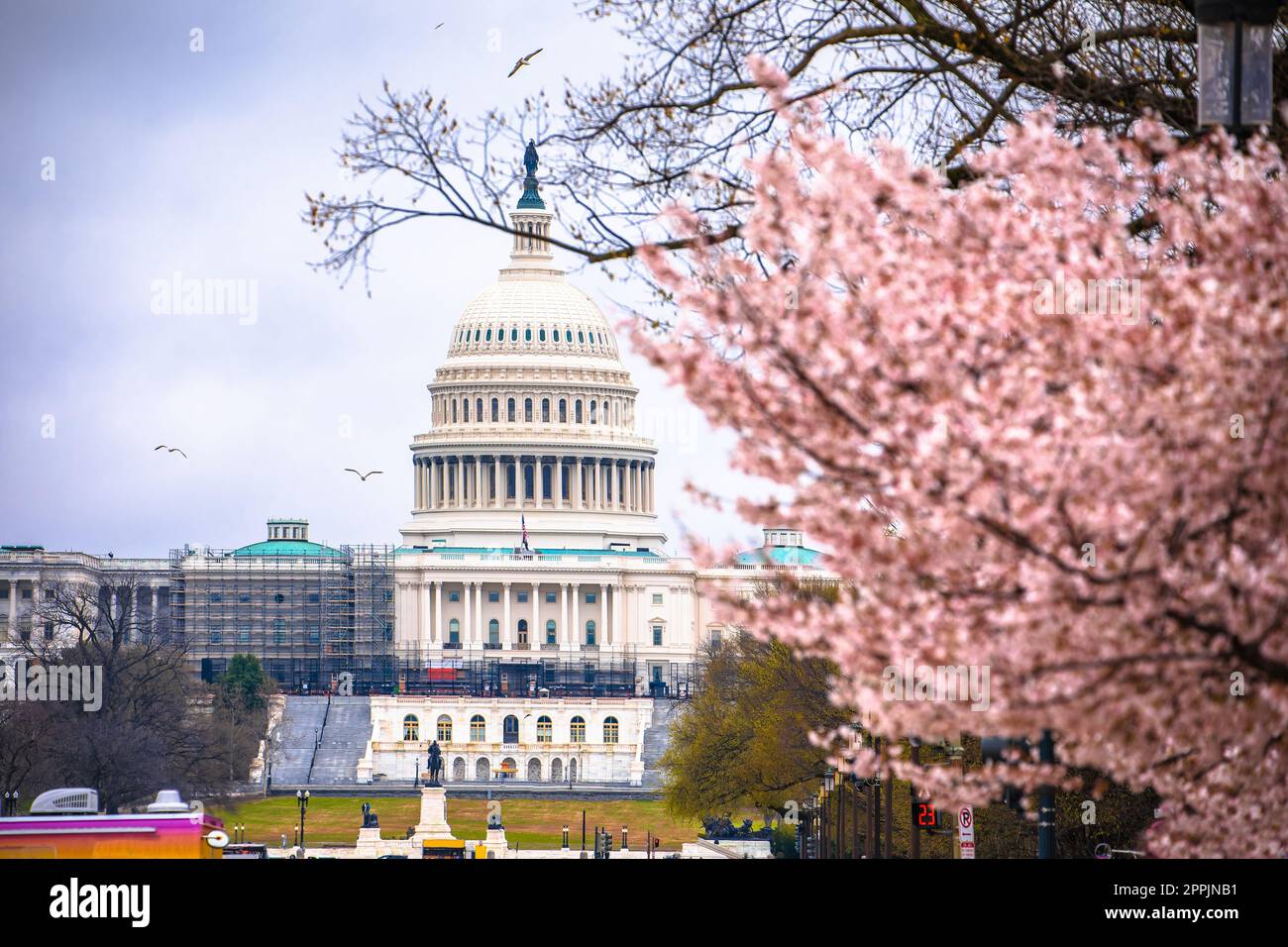 Blick auf den US-Kongress am Capitol Hill von der National Mall Stockfoto