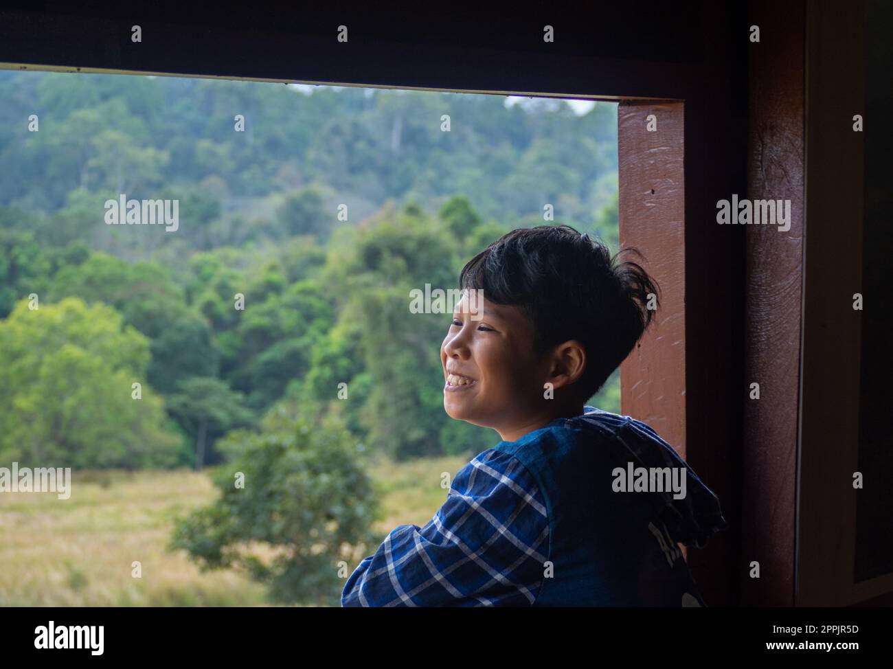 Der Junge schaut aus dem Fenster und sieht in den grünen Wald Stockfoto