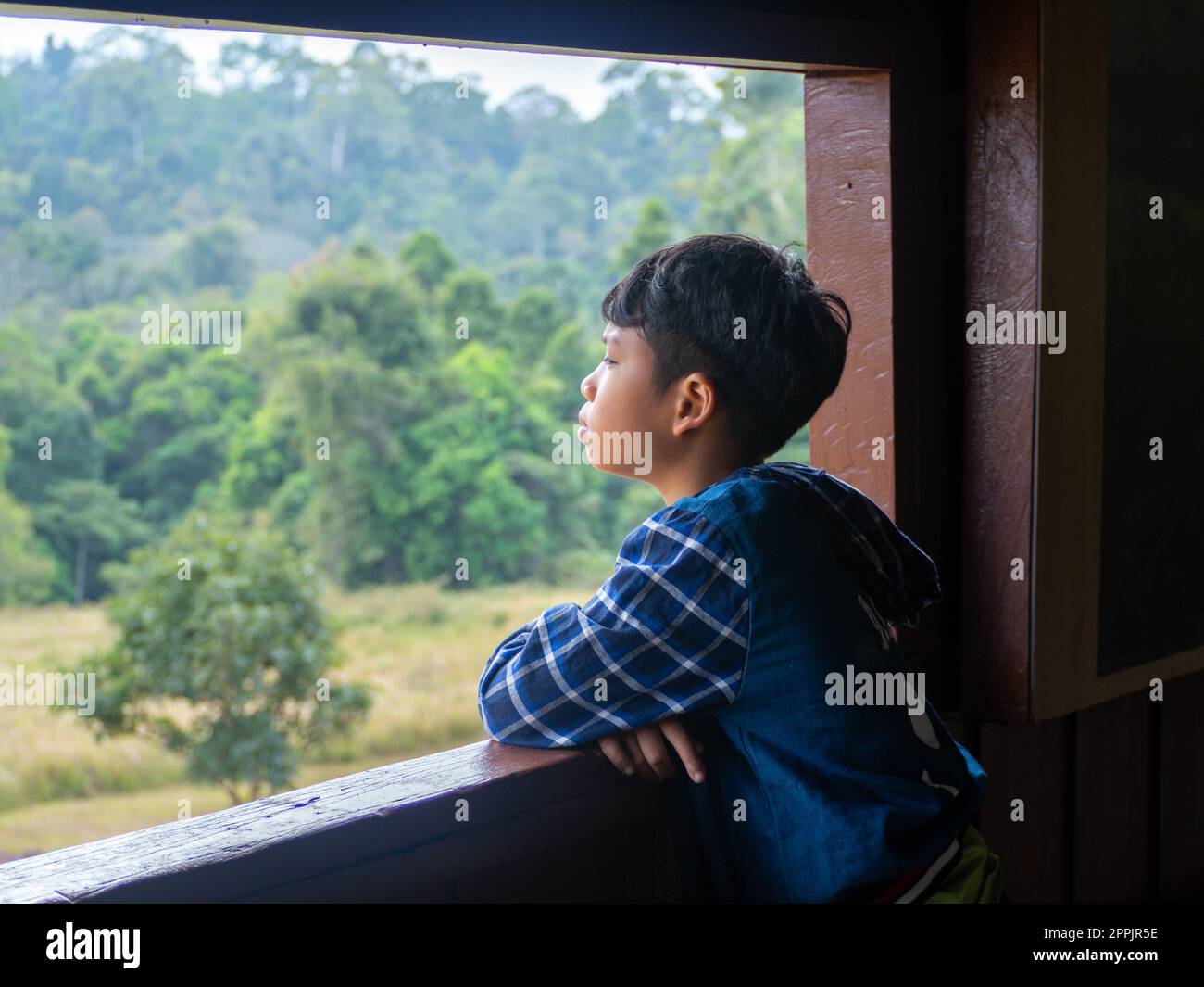 Der Junge schaut aus dem Fenster und sieht in den grünen Wald Stockfoto