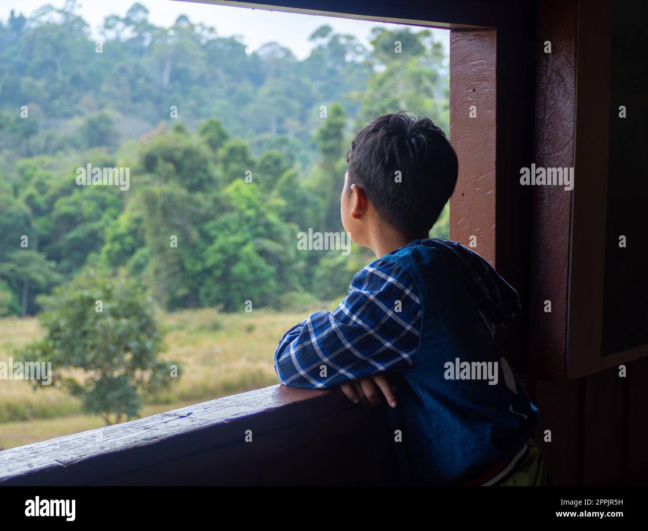 Der Junge schaut aus dem Fenster und sieht in den grünen Wald Stockfoto