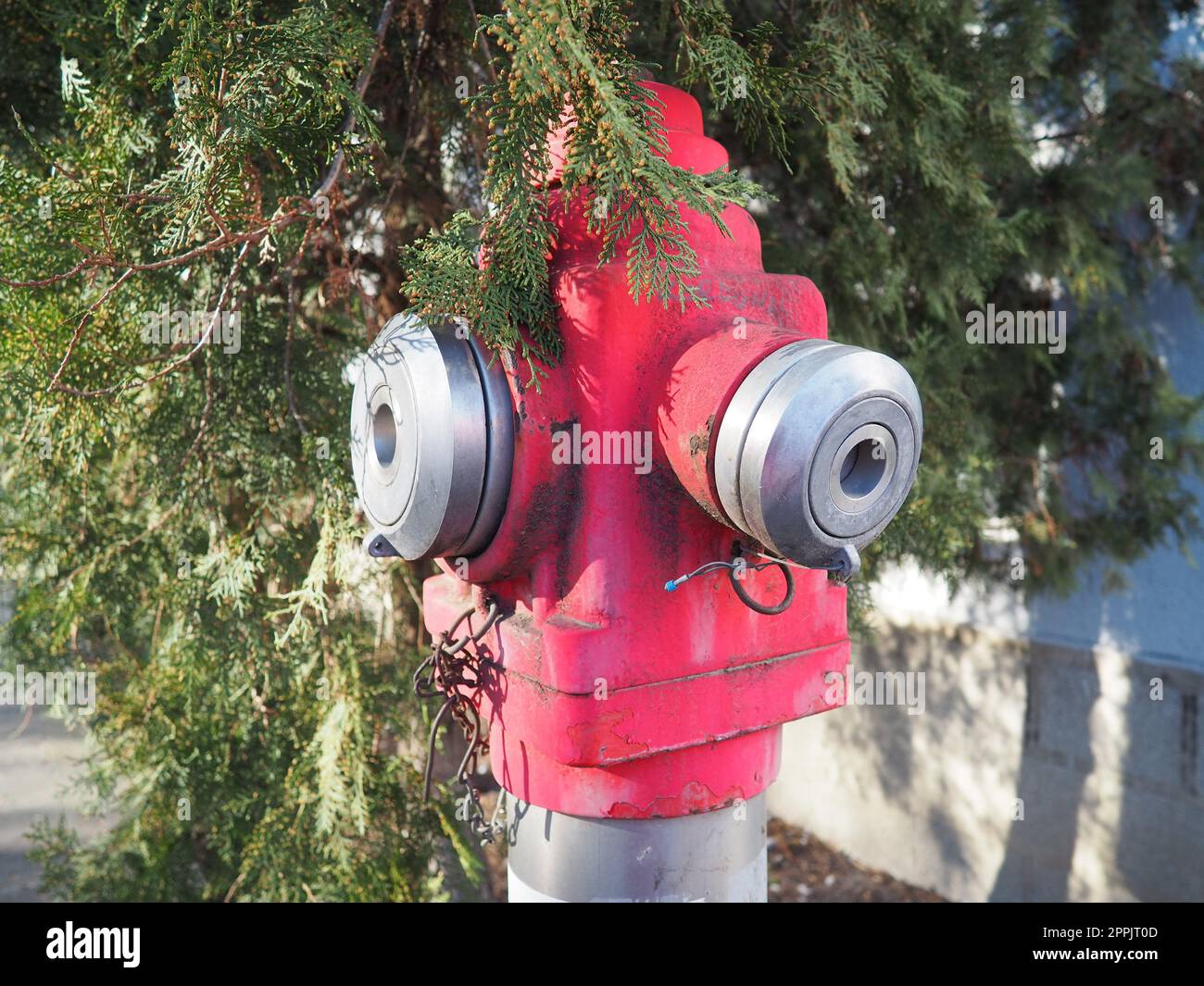 Hydrant Aussengeräte zum Löschen von Bränden in städtischen Umgebungen. Metall in kars-Farbe lackiert. Zwei Armaturen für Feuerlöschschläuche. Thuja bleibt im Hintergrund Stockfoto