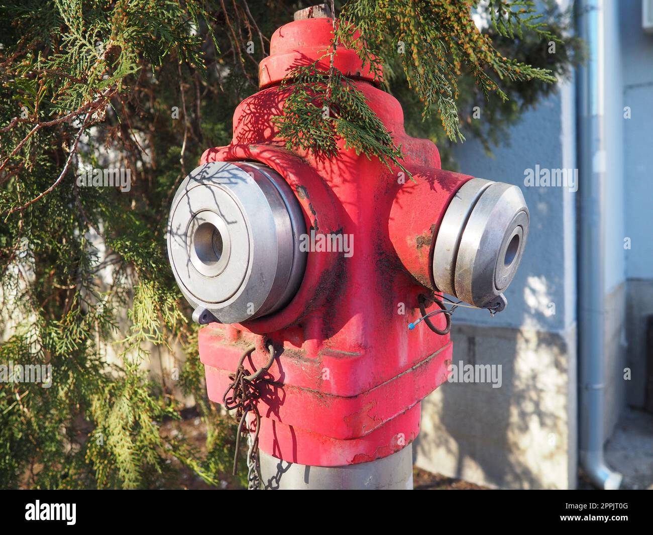 Hydrant Aussengeräte zum Löschen von Bränden in städtischen Umgebungen. Metall in kars-Farbe lackiert. Zwei Armaturen für Feuerlöschschläuche. Thuja bleibt im Hintergrund Stockfoto
