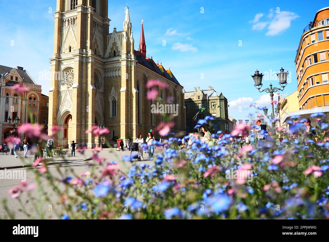 Freiheitsplatz Novi Sad Serbien 30 2022 Personen gehen die Straße entlang. Rosa und blaue "vergiss mich nicht" -Blumen wachsen in einem Blumenbeet. Der Name der Marienkirche, römisch-katholische Pfarrkirche in Novi Sad Stockfoto