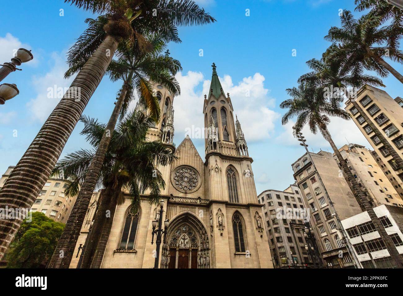Kathedrale von Sao Paulo mit Palmen und umliegenden Gebäuden, Sao Paulo, Brasilien Stockfoto