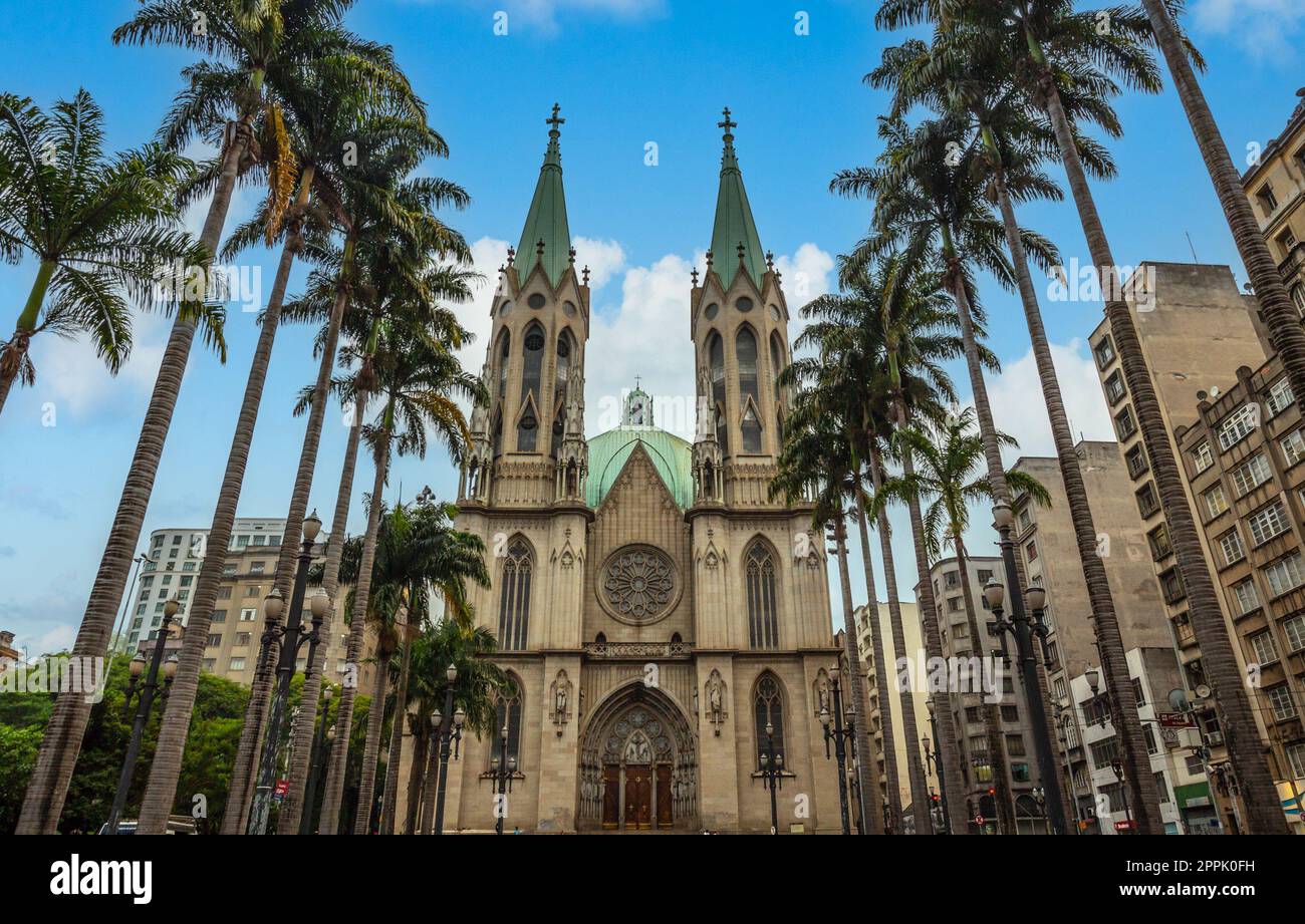 Kathedrale von Sao Paulo mit Palmen und umliegenden Gebäuden, Sao Paulo, Brasilien Stockfoto