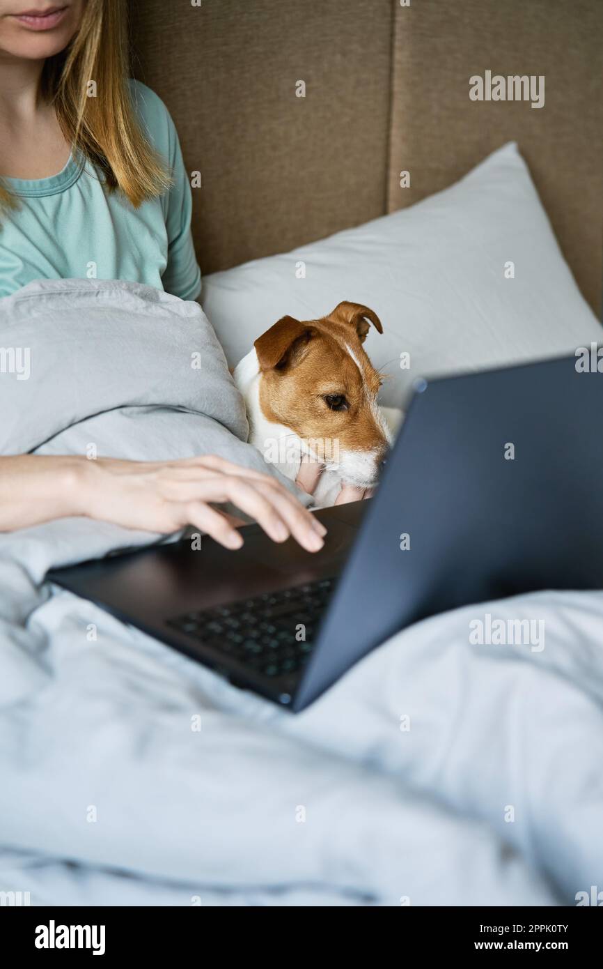 Frau mit niedlichem Hund, die sich morgens im Bett entspannt und ein Notebook benutzt. Bequeme Arbeit von zu Hause für Freiberufler. Zeit miteinander zu verbringen, Zuneigung Stockfoto