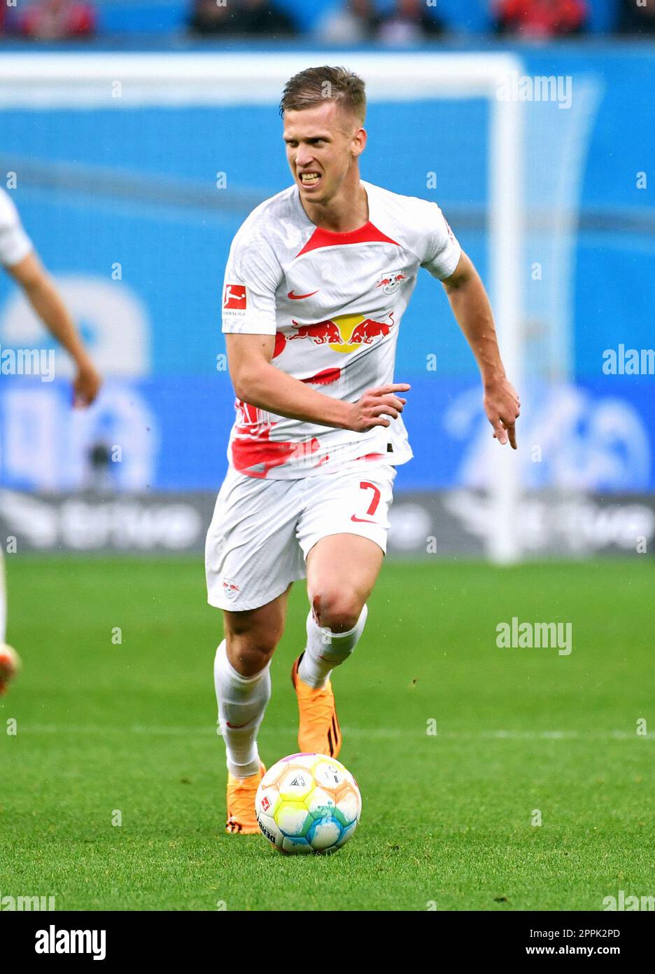 Bundesliga, BayArena Leverkusen; Bayer Leverkusen vs RB Leipzig; Dani Olmo (RBL) Stockfoto