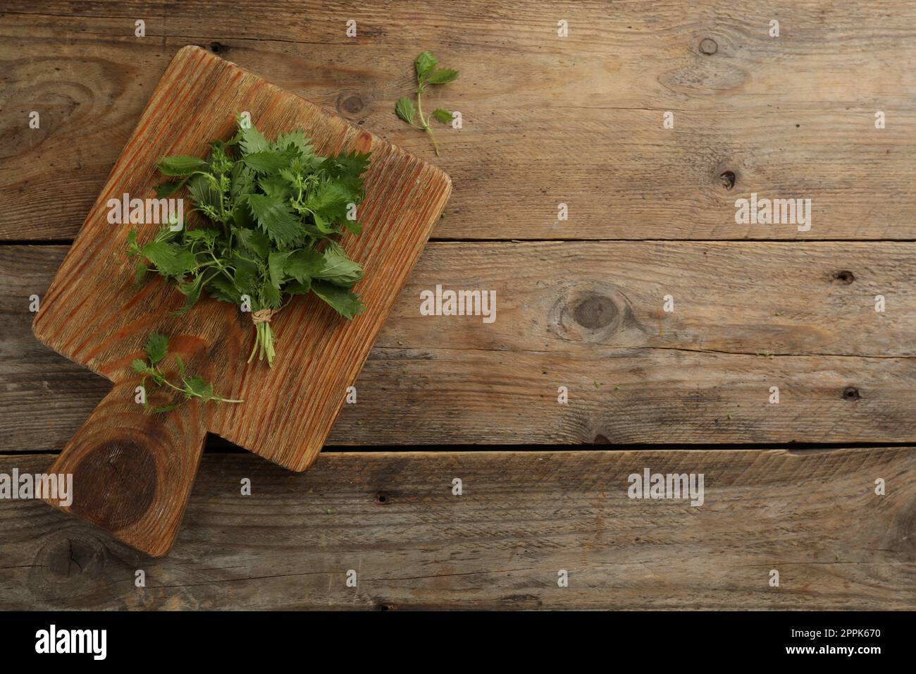 Ein Haufen frischer Brennnesseln auf einem Holztisch, Draufsicht. Platz für Text Stockfoto