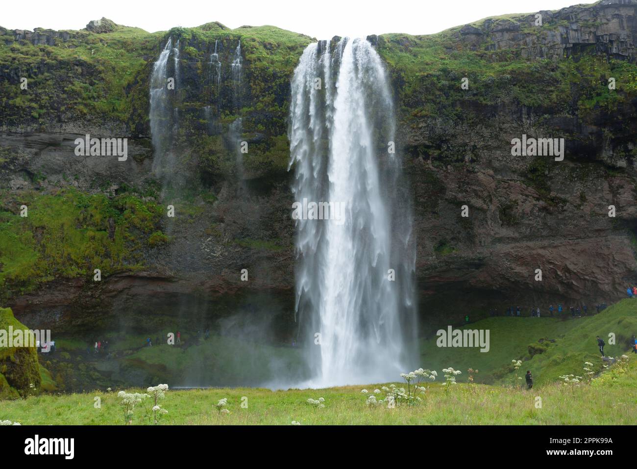 Seljalandsfoss fällt in der Sommersaison Ansicht, Island Stockfoto