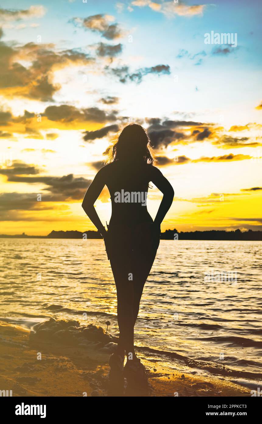 Silhouette der jungen Frau mit langen Haaren am Strand während der goldenen Sonnenuntergang. Natürliche Dunkelheit und Farben. Vertikale Foto Stockfoto