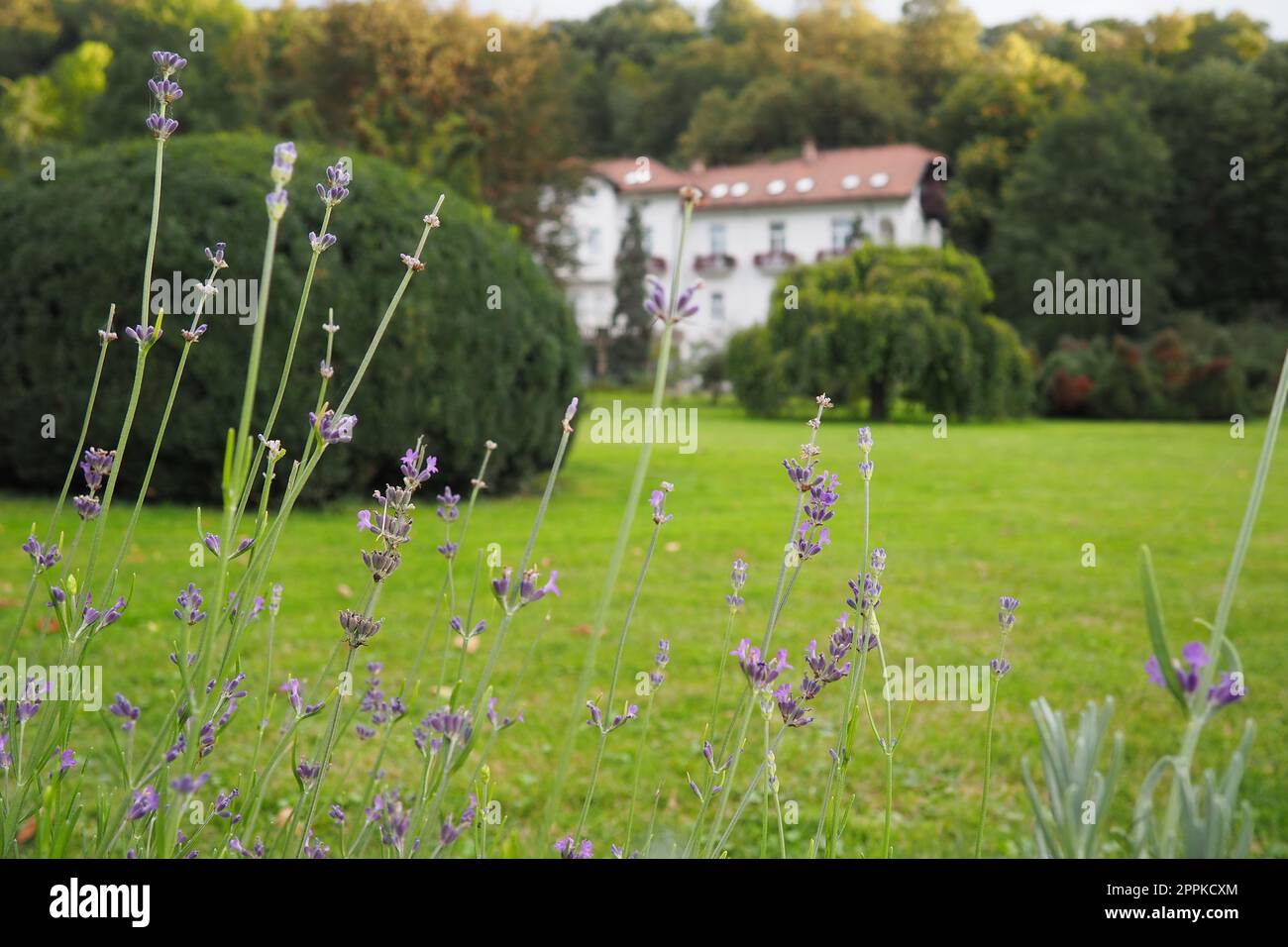 Banja Koviljaca, Serbien, Guchevo, Loznica, September 30, 2022 Ein medizinisches Gebäude, die ehemalige königliche Villa. Grüner Rasen im Park mit Blumen und Büschen. Landschaftsgestaltung und Dekoration des Parkgeländes. Stockfoto