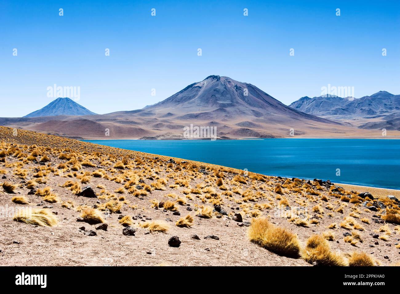 Atacama Salzwand, Miscanti See und Miniques Vulkan, Atacama Wüste, Chile Stockfoto