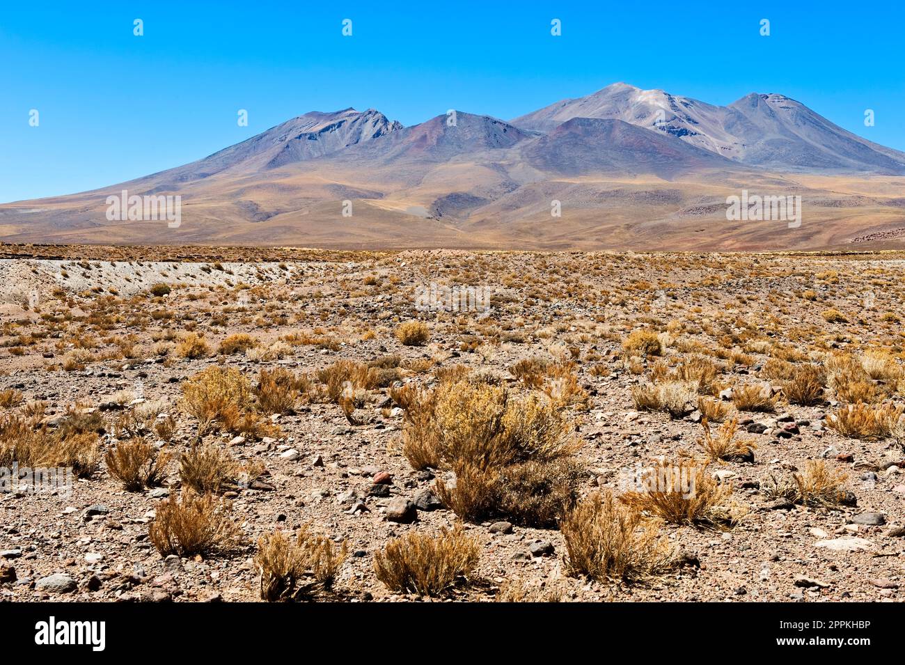 Vulkan Miniques, Atacama Salz flach, Atacamawüste, Chile Stockfoto