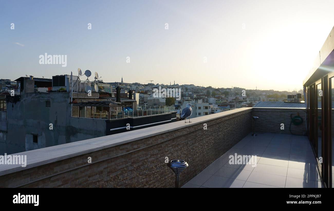 Blick auf die Stadt Istanbul auf der Moschee mit dem Sultanahmet-Viertel gegen den Himmel. Sonnenuntergang in Istanbul, Türkei mit Suleymaniye Moschee, osmanische Kaisermoschee Stockfoto