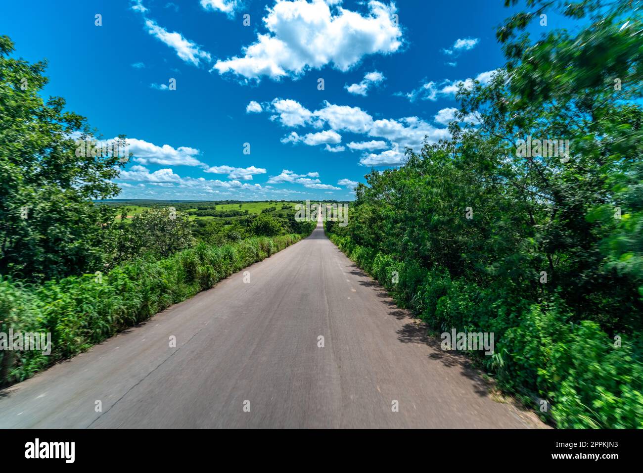 Asphaltstraße in brasilianischer Natur in Südamerika Stockfoto