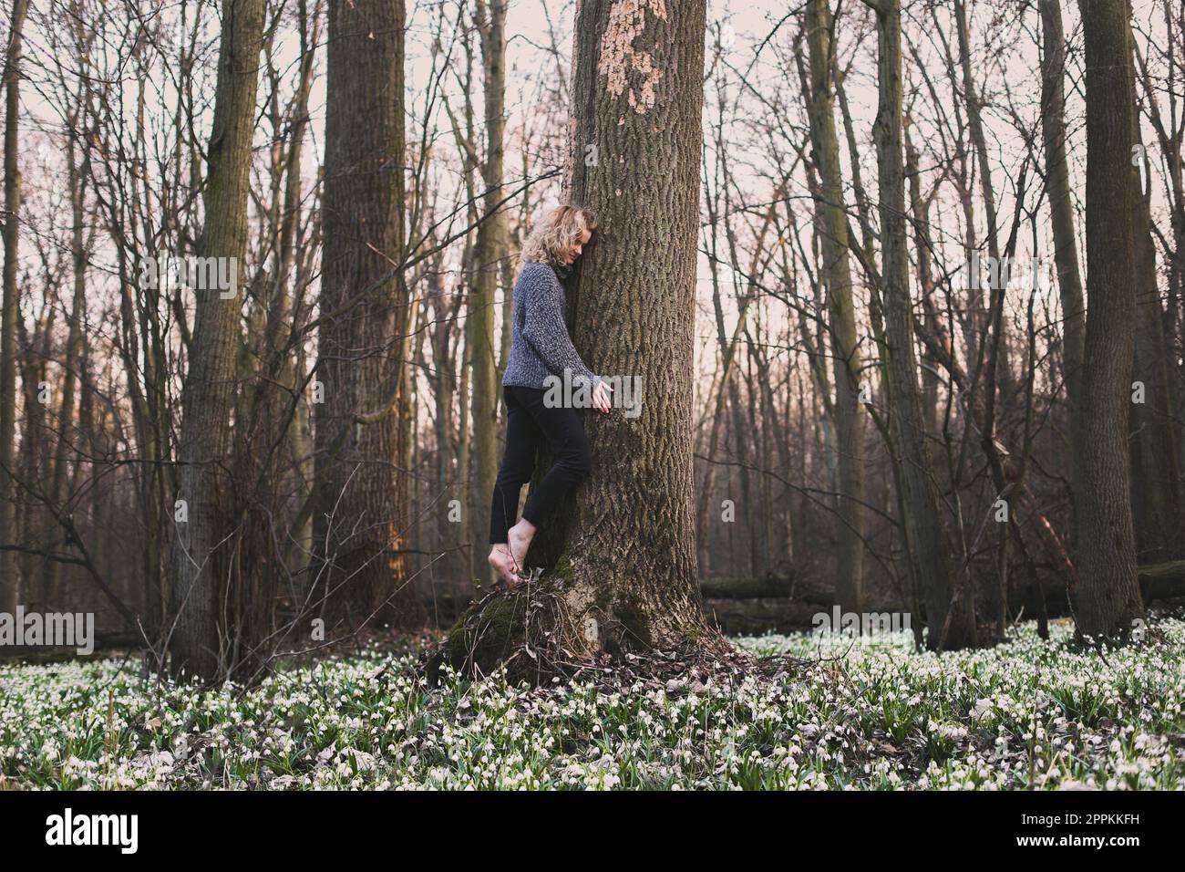 Eine blonde Frau, die sich an einen großen Baumstamm umarmt, fotografiert Stockfoto
