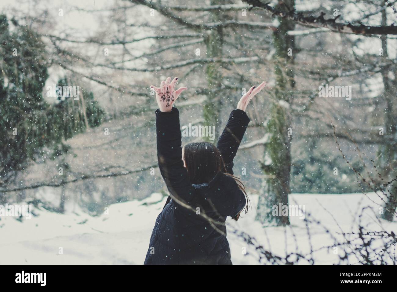 Genießen Sie den ersten Schnee in der malerischen Waldfotografie Stockfoto