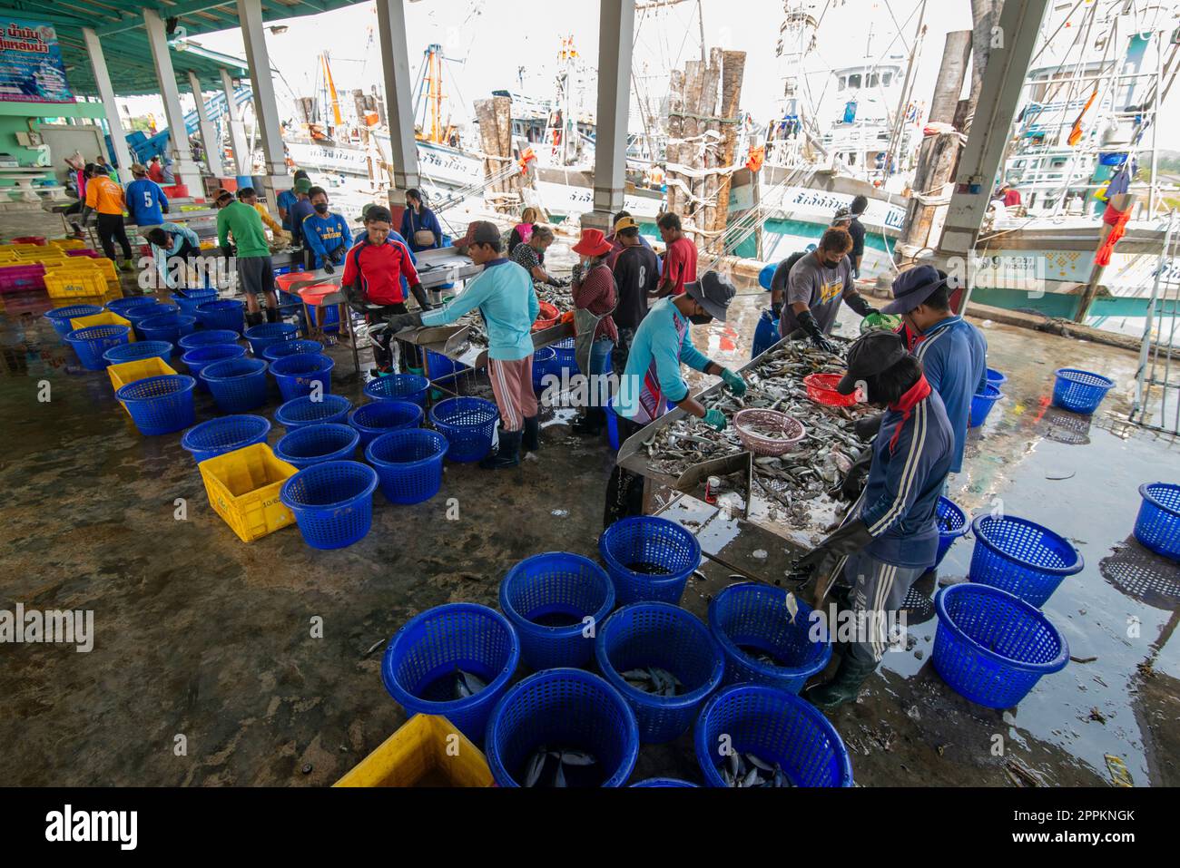 THAILAND PRACHUAP HUA HIN PAK NAM PRAN FISCHERDORF Stockfoto